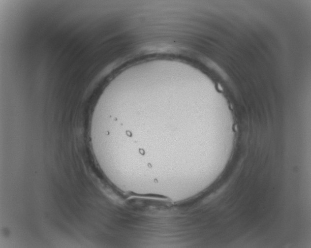 X0000081300922200702082040