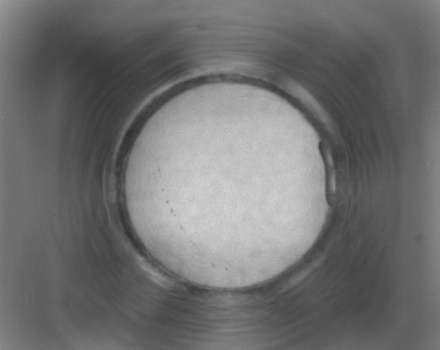 X0000081300924200702082040