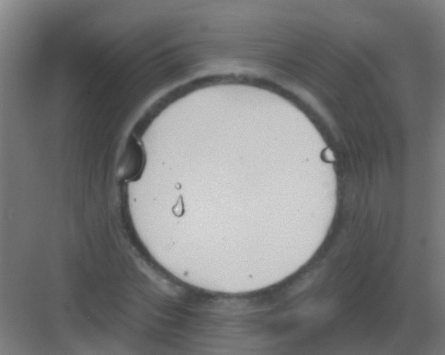 X0000081300927200702082040