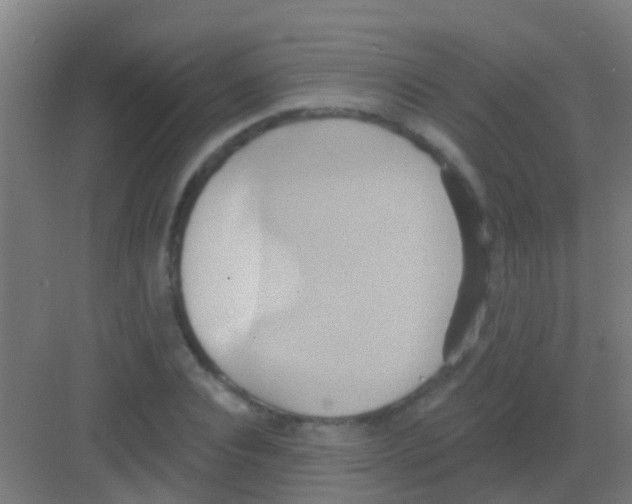 X0000081300928200702082040