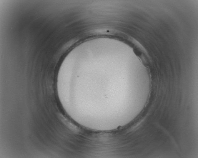 X0000081300930200702082040