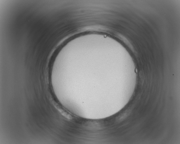 X0000081300931200702082040