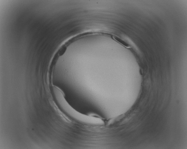 X0000081300932200702082041