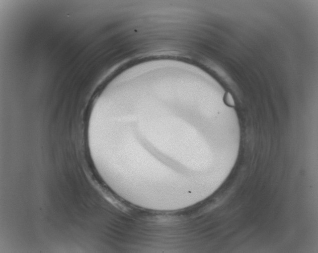 X0000081300933200702082041