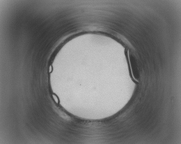 X0000081300934200702082041