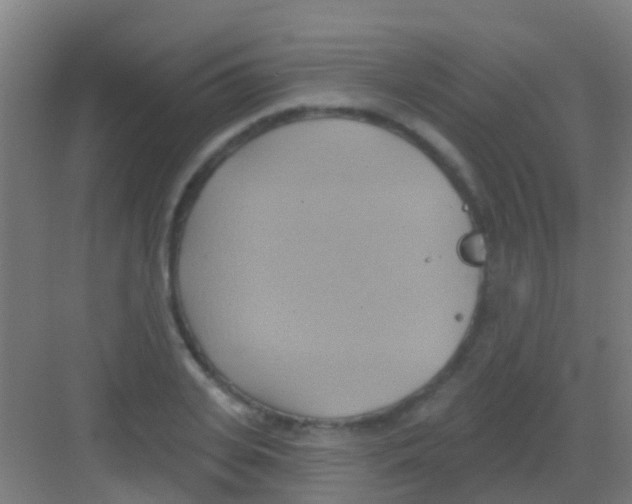 X0000081300935200702082041