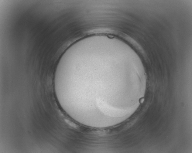 X0000081300937200702082041