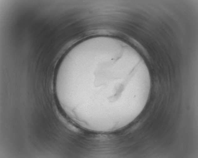 X0000081300938200702082041