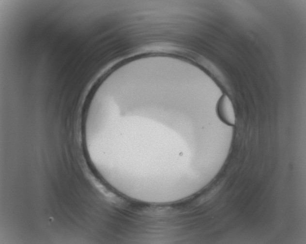 X0000081300939200702082041