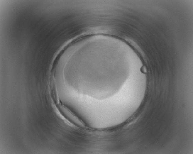 X0000081300941200702082041