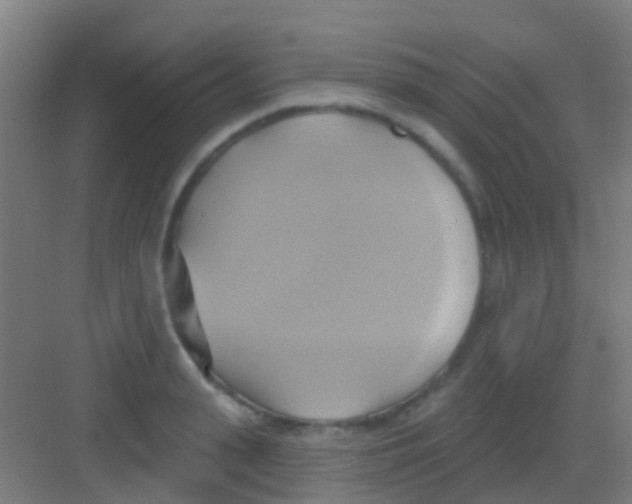 X0000081300943200702082041