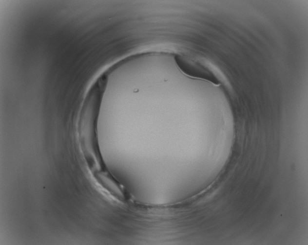 X0000081300944200702082041