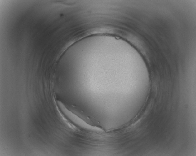 X0000081300945200702082041