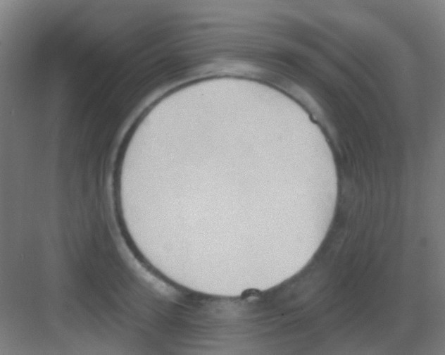 X0000081300947200702082041