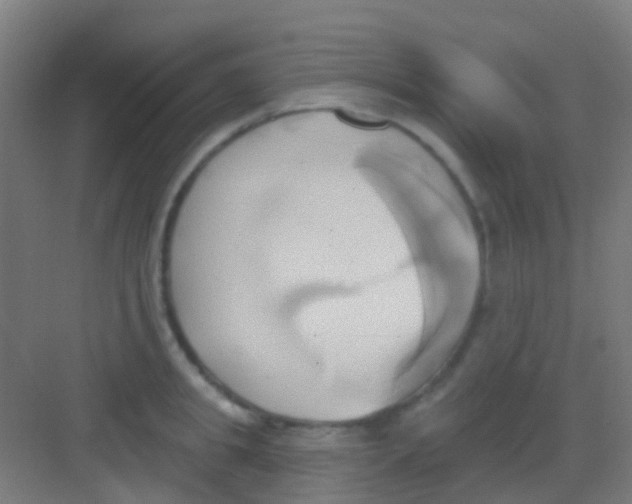 X0000081300949200702082041