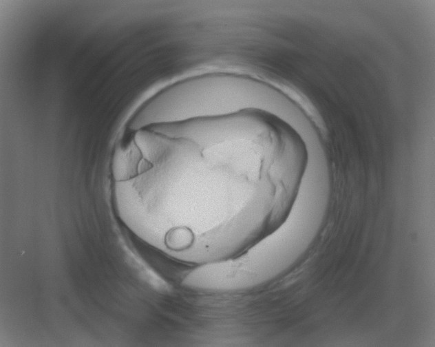 X0000081300950200702082041