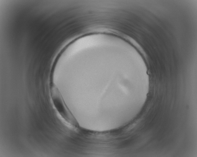 X0000081300951200702082041