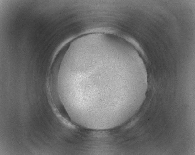 X0000081300952200702082041