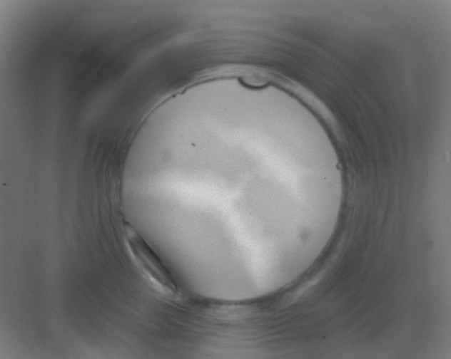 X0000081300953200702082041