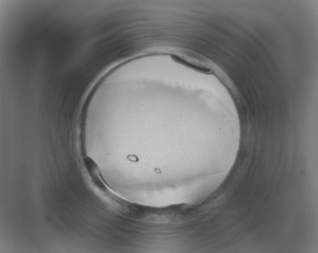 X0000081300955200702082041