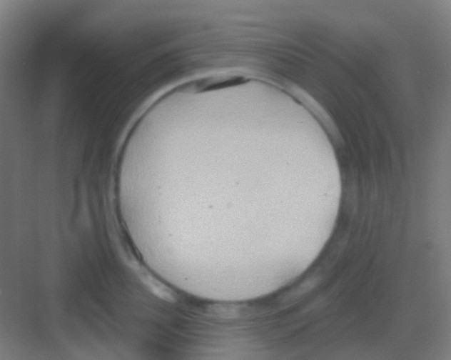 X0000081300956200702082041