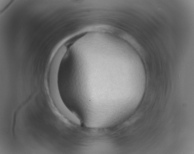 X0000081300960200702082041