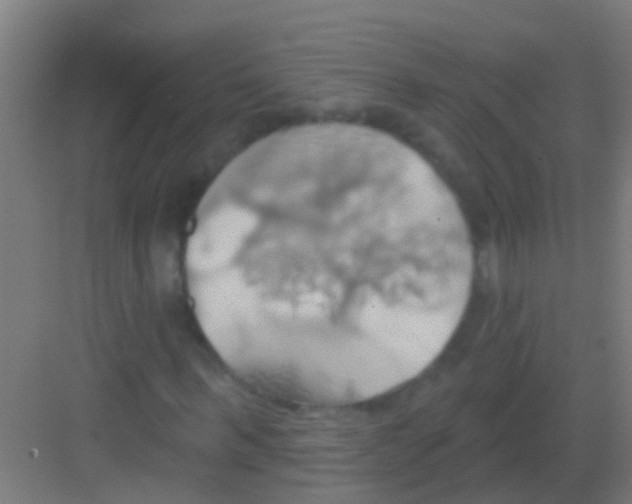 X0000081300963200702082040