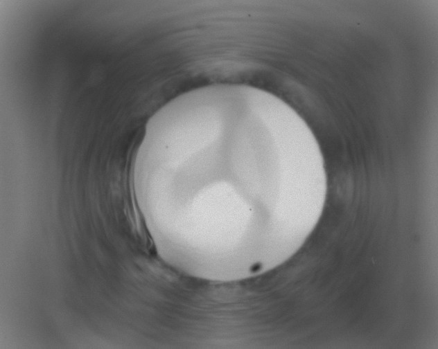 X0000081300964200702082040