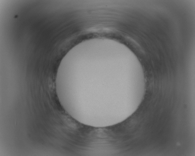 X0000081300966200702082040