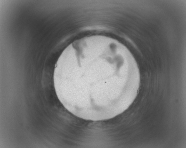 X0000081300967200702082040