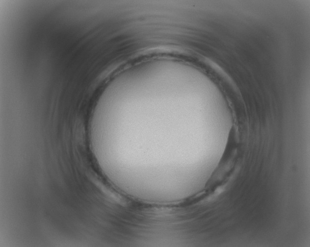 X0000081300969200702082040