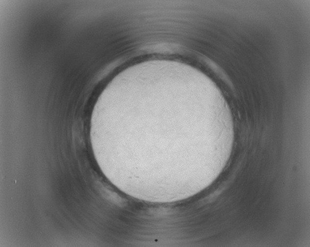 X0000081300970200702082040