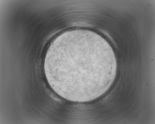 X0000081300971200702082040