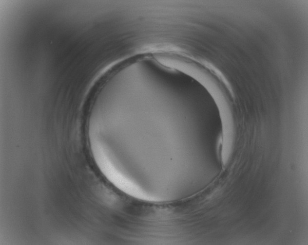 X0000081300975200702082040