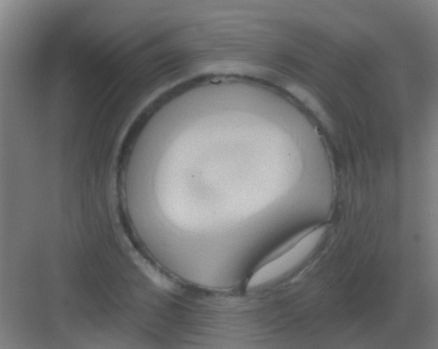 X0000081300976200702082040