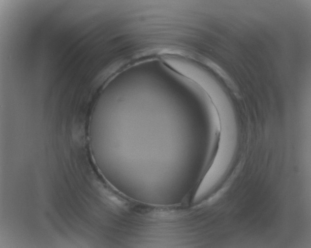 X0000081300977200702082040