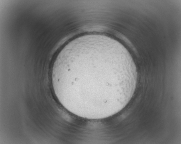 X0000081300978200702082040