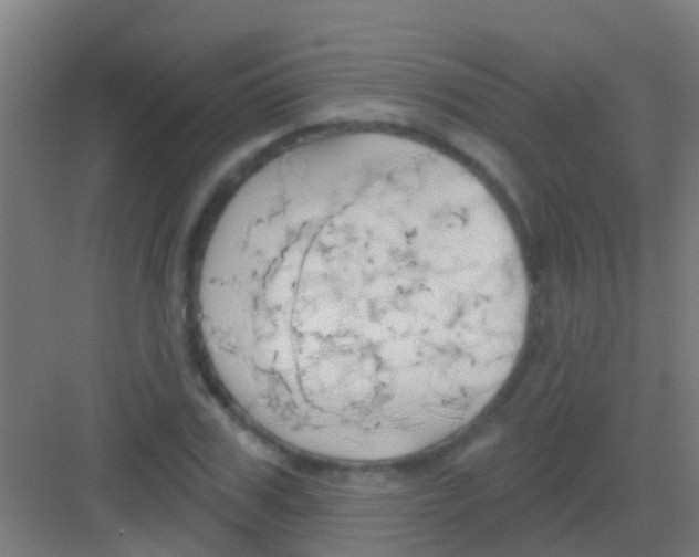 X0000081300979200702082040