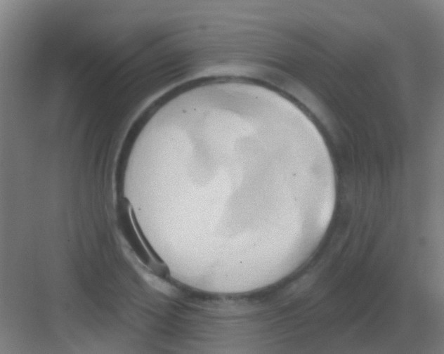 X0000081300980200702082040