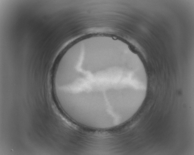 X0000081300983200702082040