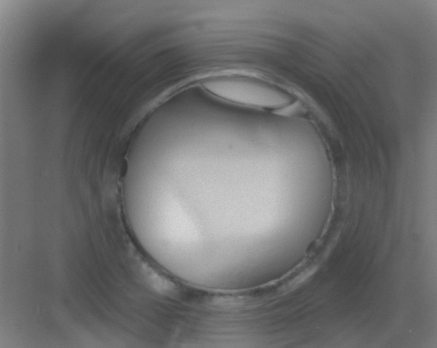 X0000081300985200702082040