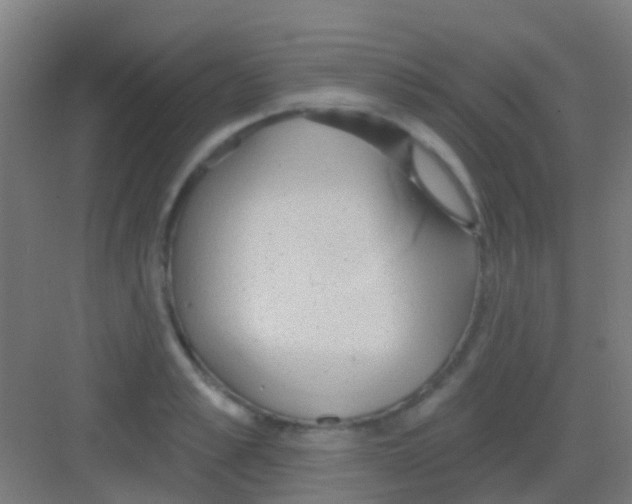 X0000081300989200702082040