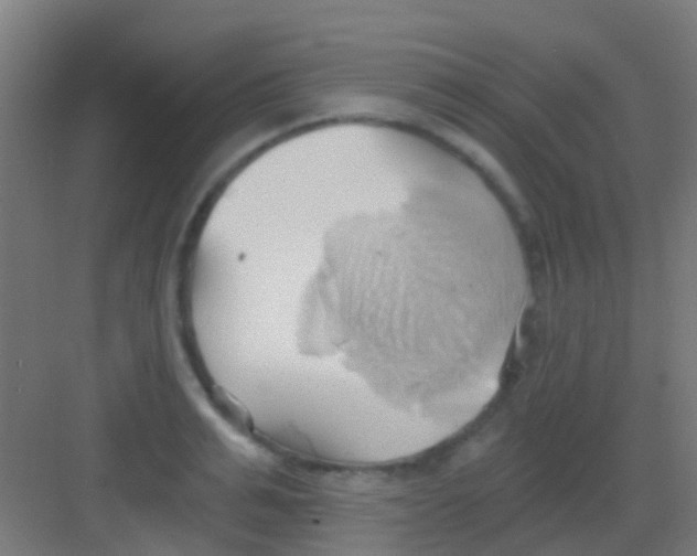 X0000081300991200702082040