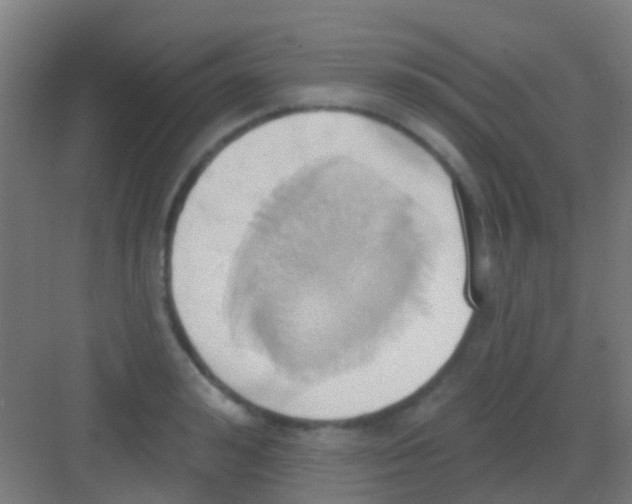 X0000081300992200702082040