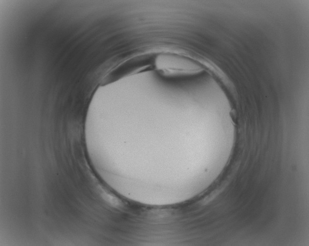 X0000081300993200702082040