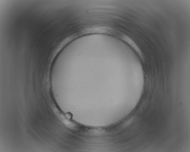 X0000081300994200702082040