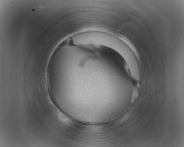 X0000081300996200702082040