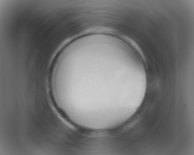 X0000081300997200702082040