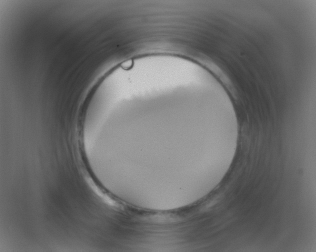 X0000081300998200702082040