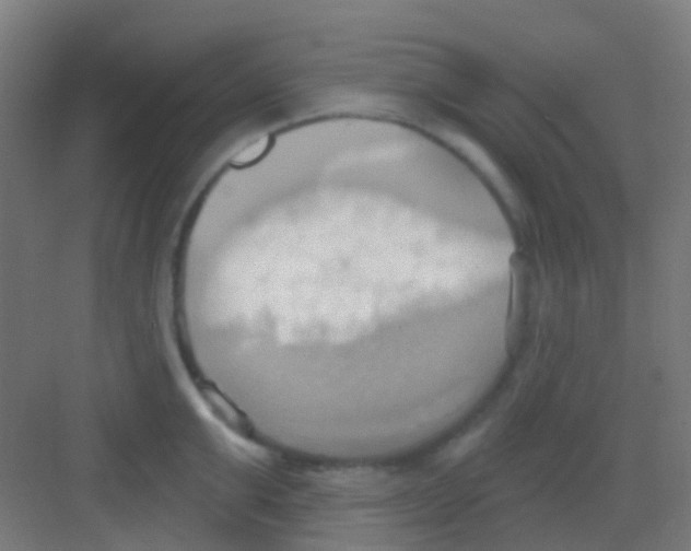 X0000081300999200702082040